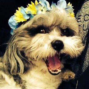 Meet your Posher, Heather